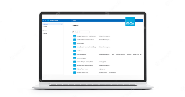 SNOMED Spaces.png